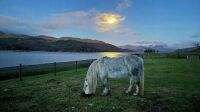 The Moon over Loch Sunart sent in by Lisa Roberts
