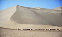 Gobi desert