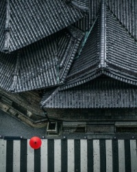 Geisha in Kyoto