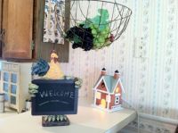 Welcome to my country kitchen.