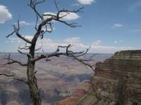 The Grand Canyon 1