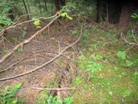 flume outlived its use