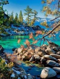 Nature