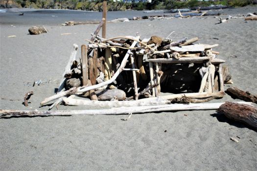 drift wood hut on the beach - 2