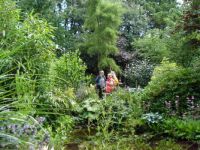 sommer 2009 003