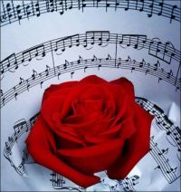 Musical rose