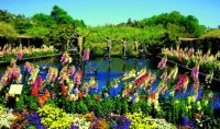 Amazing gardens (11)