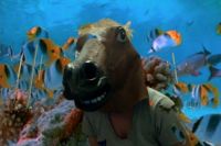 Horse Mask!