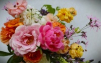 🌼🌸"Dreaming of Spring"🌺🌻
