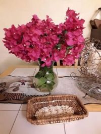 Red bougainville flowers