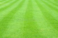 patterned-field-green-grass-sports-field-background-36142046