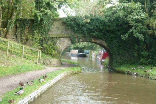 A cruise around The Cheshire Ring Macclesfield Canal (498)