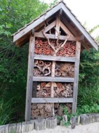 insects house