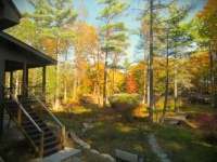 My little piece of paradise.