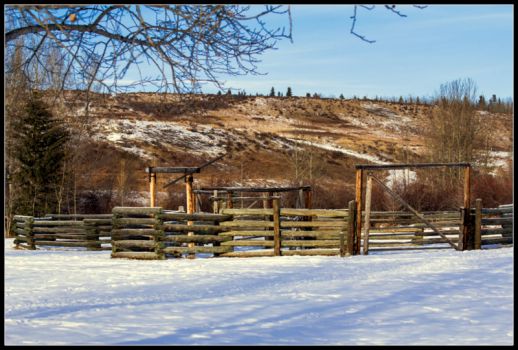Cochrane Ranch outside of Calgary