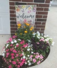 Welcome