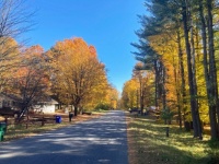 Peak Color - Gold Season