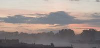 Misty morning
