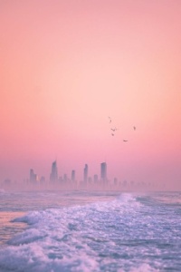 Gold Coast QLD, Australia