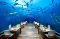 Underwater Restaurant