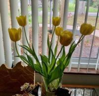 Easter Lilies