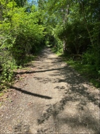 Looks like a natural tunnel