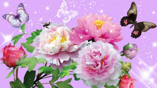 peony-pride-butterflies-butterfly-firefox-persona-floral-flowers-peonies-shine-sparkles-stars-summer