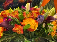 Bold colors!