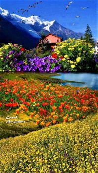 Solve Landscape By Ada Dalilah Jigsaw Puzzle Online With 66 Pieces