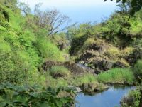 Hana Road
