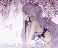 Wisteria Dream