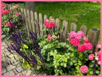 In my brother's garden. In mijn broers tuin.