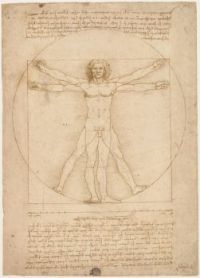 Leonardo_da_Vinci_-_Uomo_vitruviano