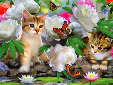 kittens and butterflies