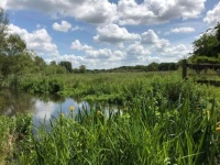 62505484_10156879229985100_45893911696113664_n