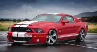 Mustang Shelby