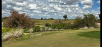 Winter golf in AZ 2