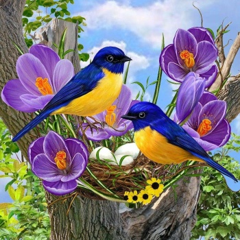 Solve PUZZLE - Bluebirds Nesting jigsaw puzzle online with 306 pieces
