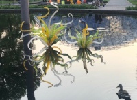 Chihuly Pond Installation Photobombed by a Duck (medium)