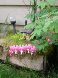 Cottage with Bleeding Hearts