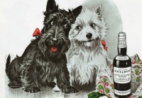 Black & White Scotch {50's Ad}