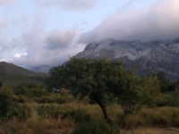 Winter in Western Cape, South Africa.