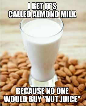 almond milk is not milk