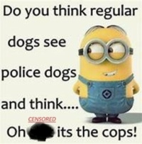 It's the Cops!
