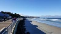 St Clair Beach Dunedin NZ