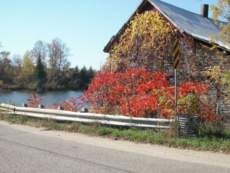 countryside