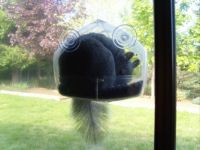 Grey squirrel stuffed in bird feeder