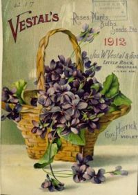 Vintage seed catalog