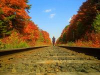 Northern Ontario Autumn