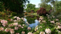 Exbury-Gardens-Top-Pond-with-deciduous-azaleas1 - Copy